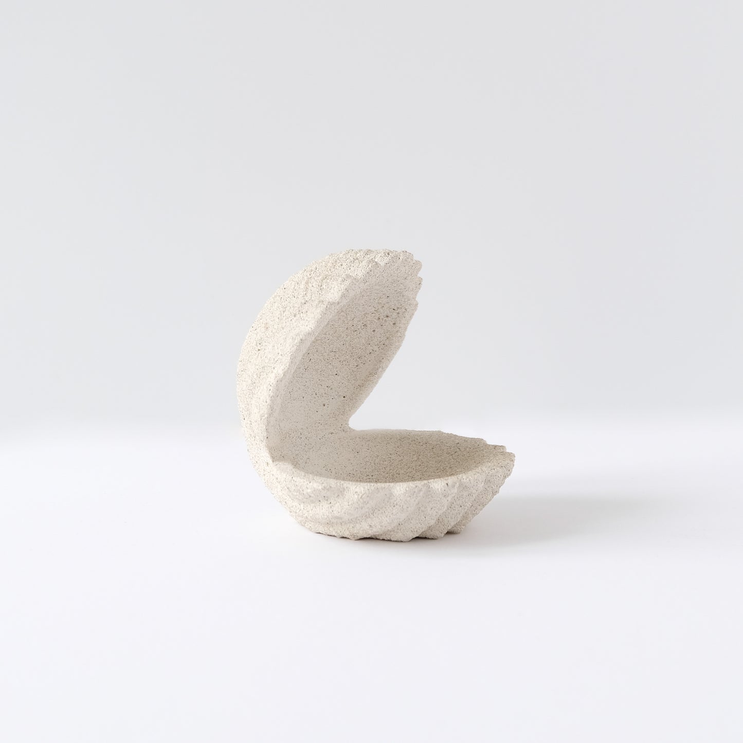 Shell Jewelry Holder