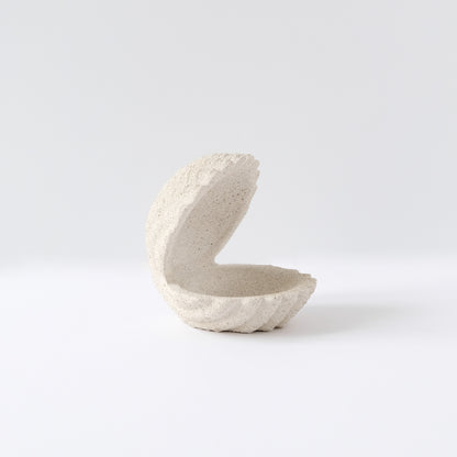Shell Jewelry Holder