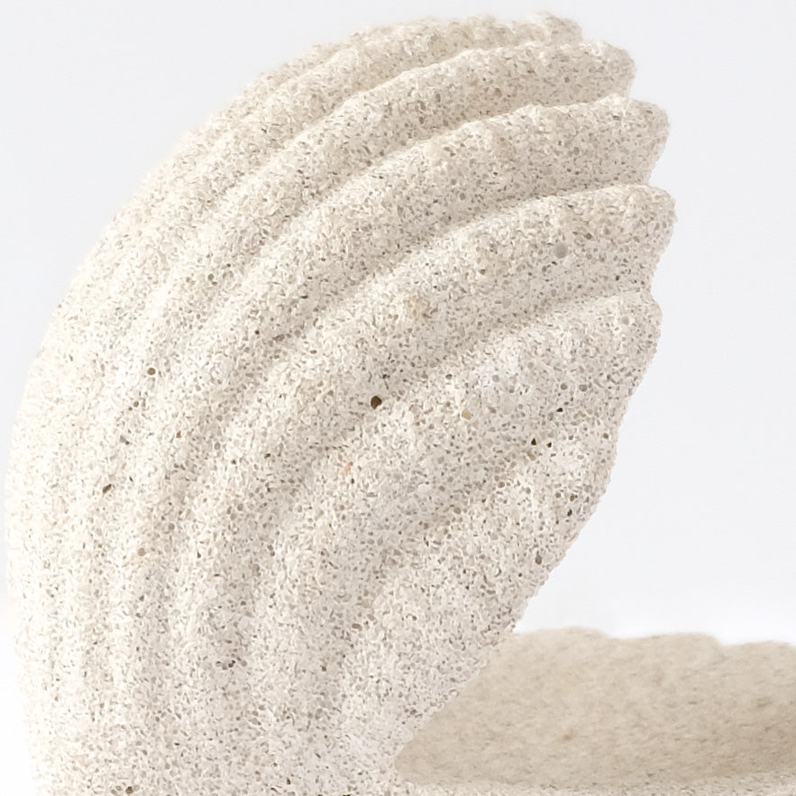 Shell Jewelry Holder
