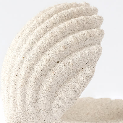 Shell Jewelry Holder