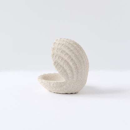Shell Jewelry Holder