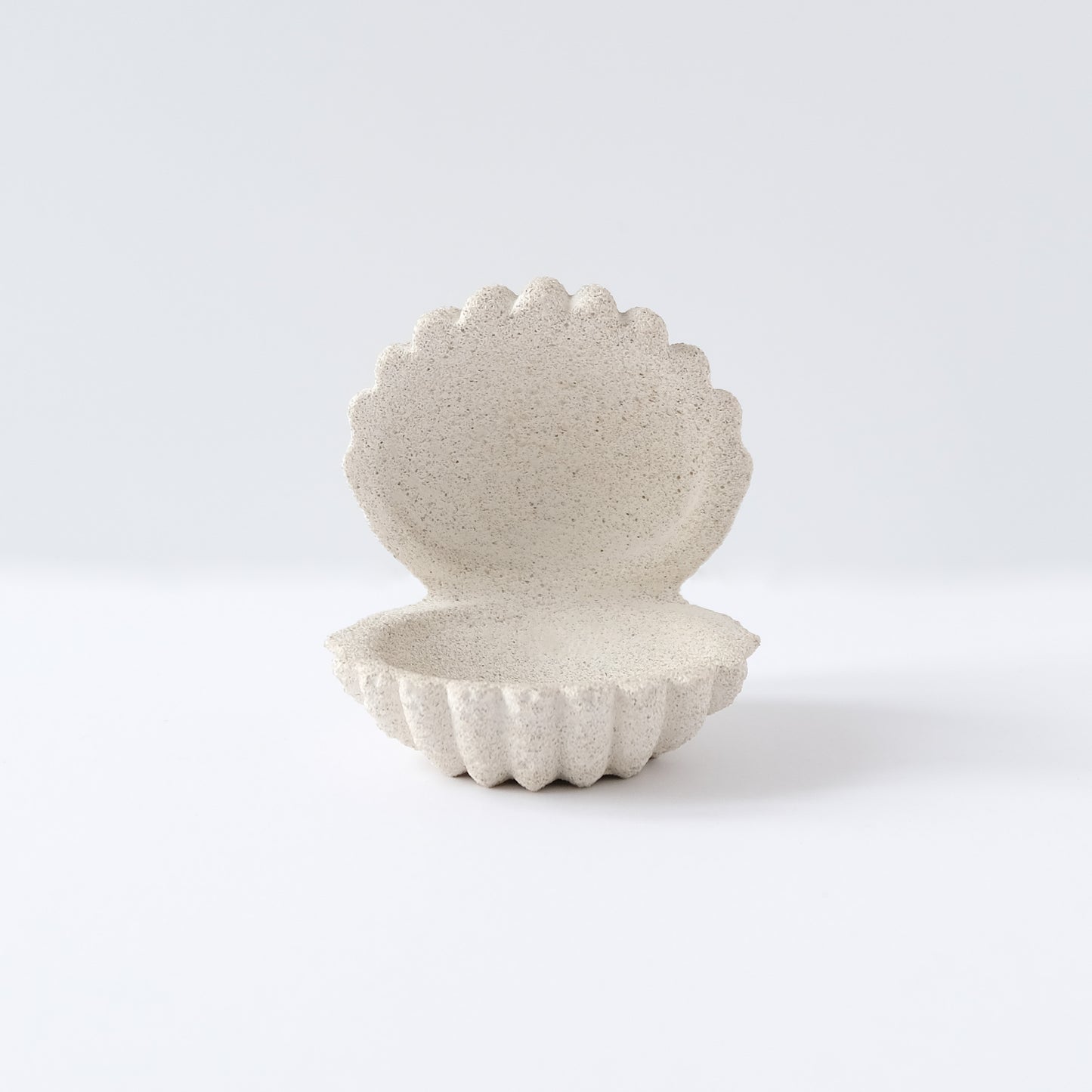 Shell Jewelry Holder