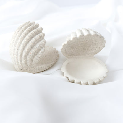 Shell Jewelry Holder