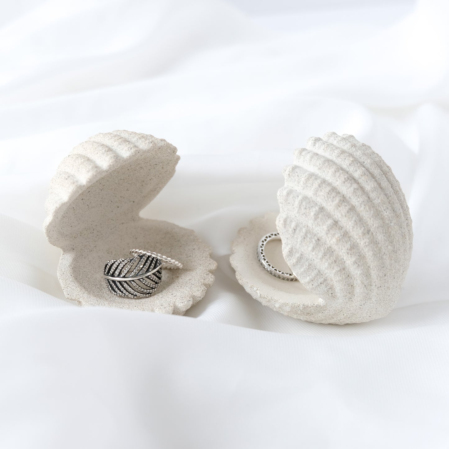 Shell Jewelry Holder
