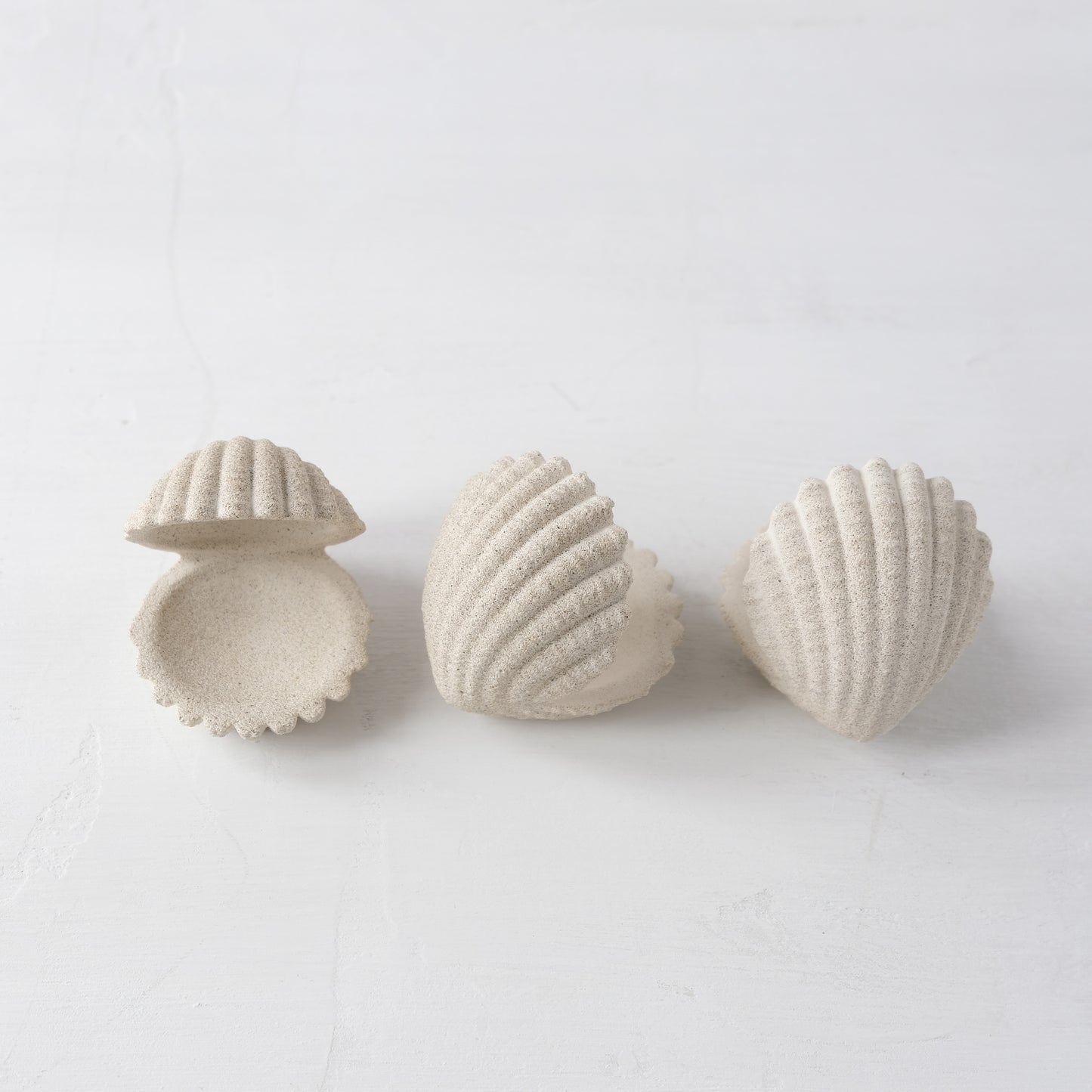 Shell Jewelry Holder