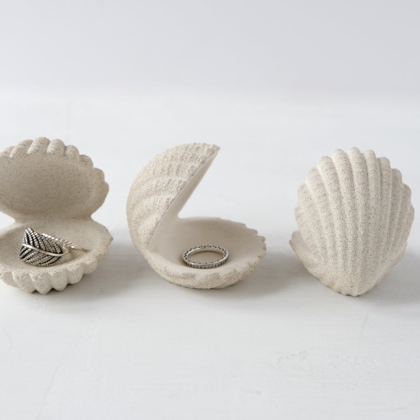 Shell Jewelry Holder