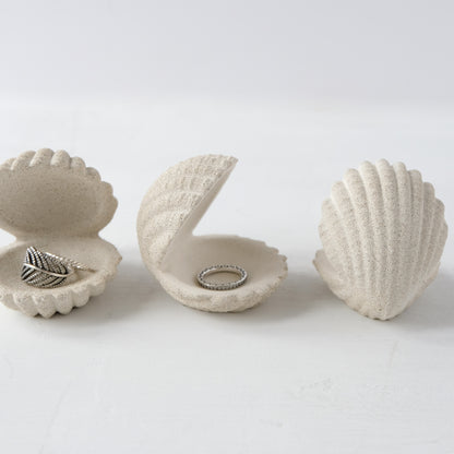 Shell Jewelry Holder